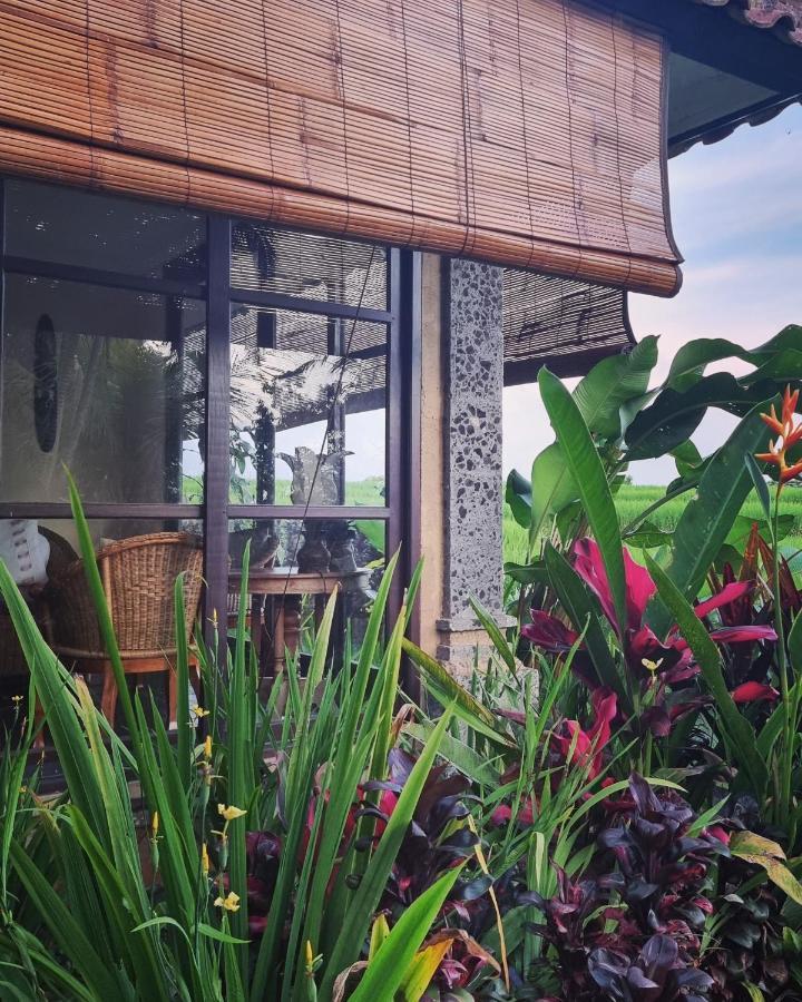 Sava Eco Retreat Ξενοδοχείο Padangan  Εξωτερικό φωτογραφία