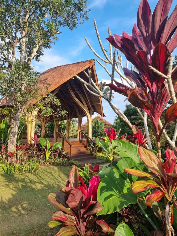 Sava Eco Retreat Ξενοδοχείο Padangan  Εξωτερικό φωτογραφία