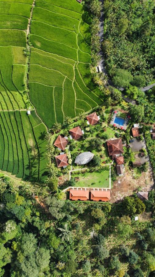Sava Eco Retreat Ξενοδοχείο Padangan  Εξωτερικό φωτογραφία