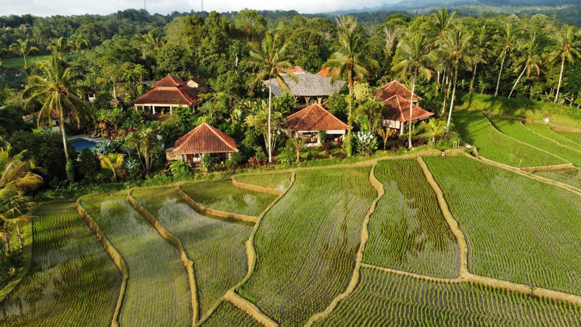 Sava Eco Retreat Ξενοδοχείο Padangan  Εξωτερικό φωτογραφία